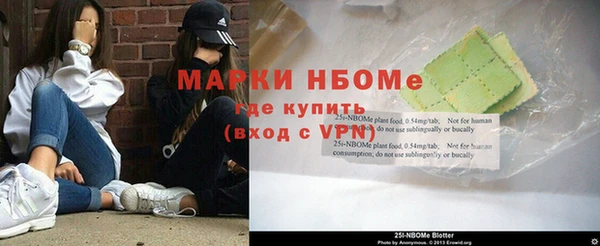 сатива Белокуриха