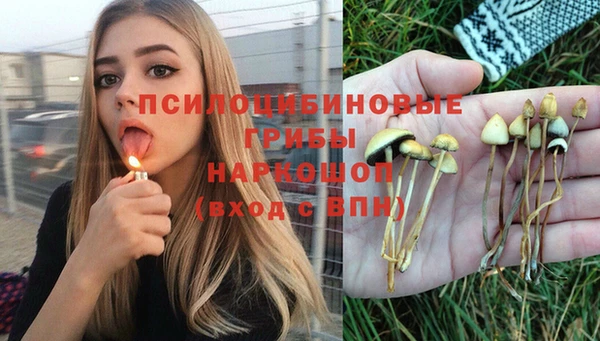ALPHA PVP Беломорск
