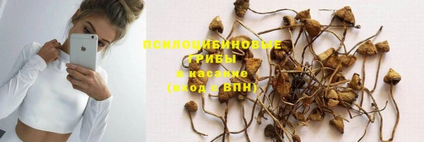 гашик Белоозёрский