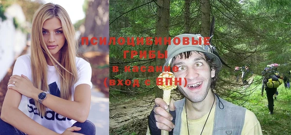 гашик Белоозёрский