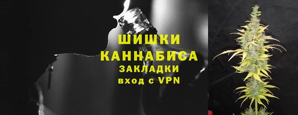 сатива Белокуриха