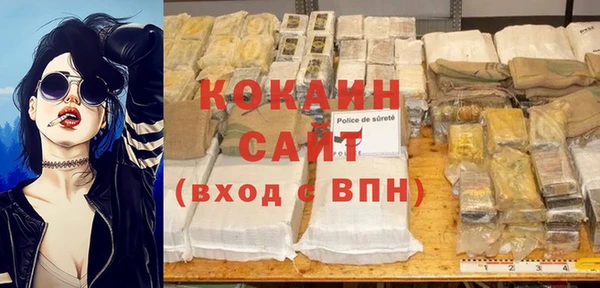 сатива Белокуриха