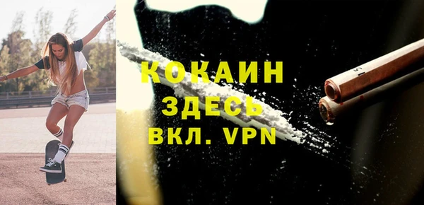 сатива Белокуриха